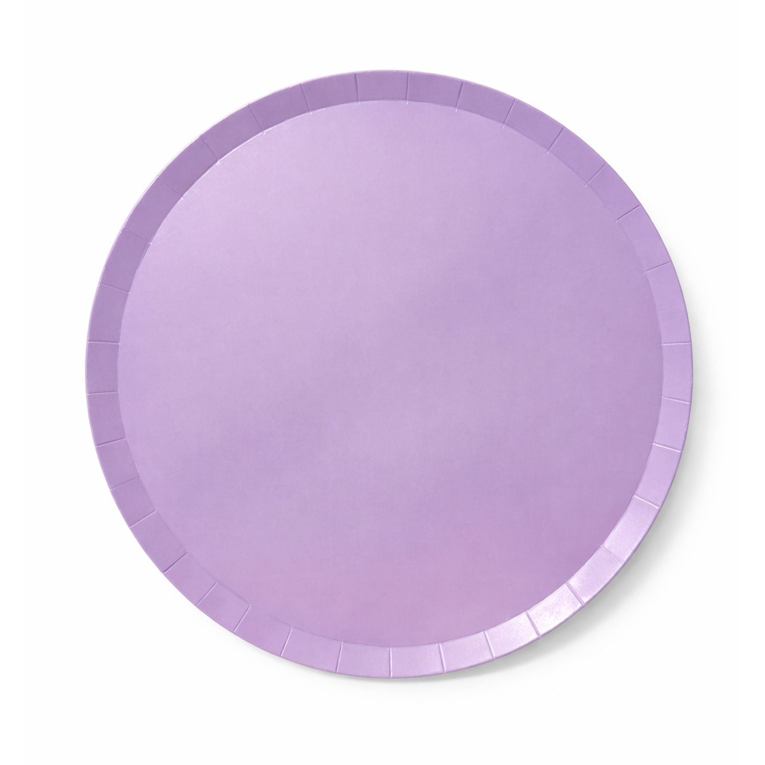 Purple Color Dinner Plates (Pack of 8)