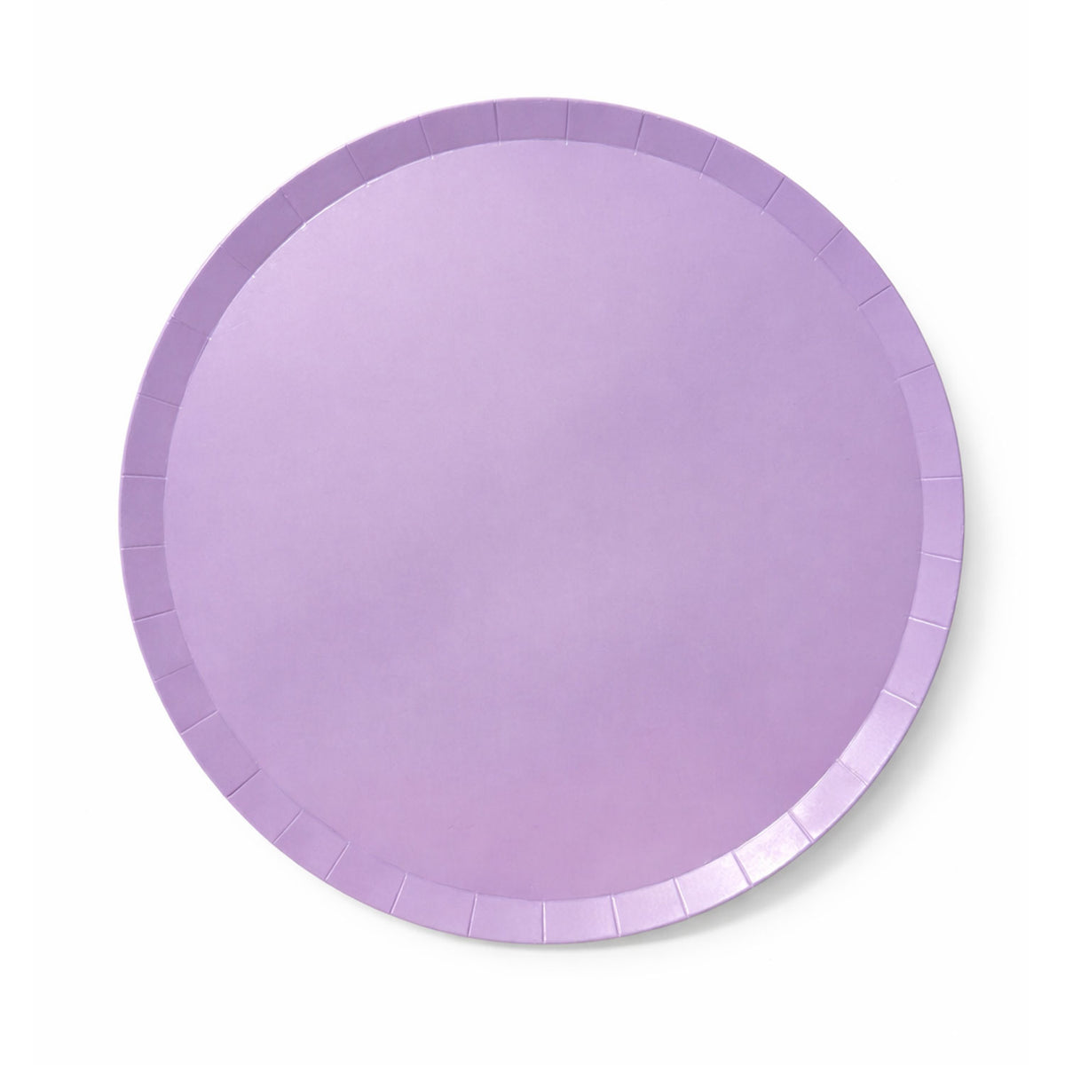 Purple Color Dinner Plates (Pack of 8)