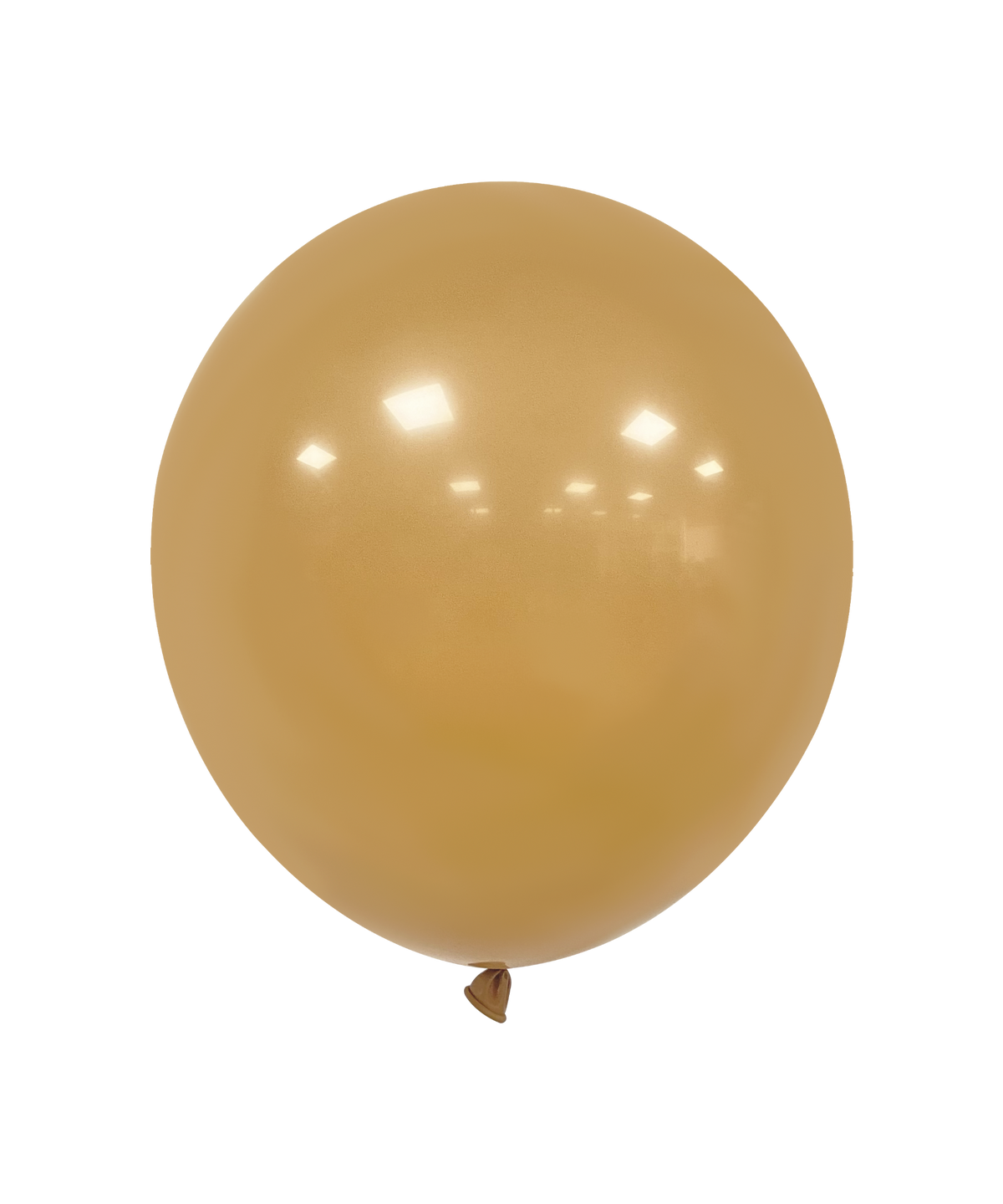 Festora Retro Camel 5" Latex Balloons - 100ct